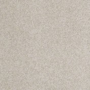 Hudson Falls Oyster Shell Carpet, 100% Stainmaster Nylon