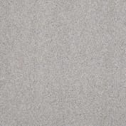 Hudson Falls Silver Tease Carpet, 100% Stainmaster Nylon