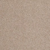 Hudson Falls Suitable Carpet, 100% Stainmaster Nylon