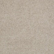 Hudson Falls Travertine Carpet, 100% Stainmaster Nylon