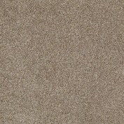 Hudson Falls Tumbled Stone Carpet, 100% Stainmaster Nylon