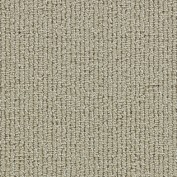 Intuition Khaki Carpet, 52% Wool/48% Nylon