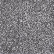 Jazzy Chrome Carpet, 100% Super Soft Nylon