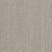 La Sirena II Gray Dust Carpet, 100% Stainmaster Nylon