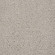 Mar Vista Bit Of Gray Carpet, 100% R2X Nylon