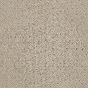 Mar Vista Shy Beige Carpet, 100% R2X Nylon