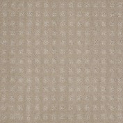 Mission Square Tint of Taupe Carpet, 100% R2X Nylon
