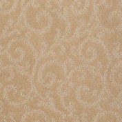 Pleasant Garden II Chamois Carpet, 100% Stainmaster Nylon