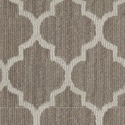 Taza II Brownstone Carpet, 100% Stainmaster Nylon