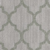 Taza II Platinum Carpet, 100% Stainmaster Nylon