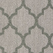 Taza II Stonewashed Carpet, 100% Stainmaster Nylon