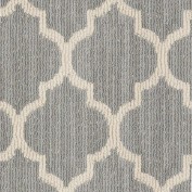 Taza II Sunlit Silver Carpet, 100% Stainmaster Nylon