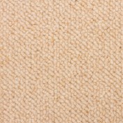 Troy Doeskin Carpet, 100% Wool
