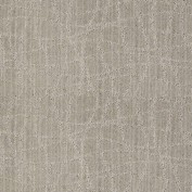 Twist Ash Grey Carpet, 100% Stainmaster Nylon