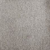 Venue Taupe Carpet, 100% Super Soft Nylon
