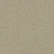 Wool Tip Shear II Canvas Carpet, 100% Wool