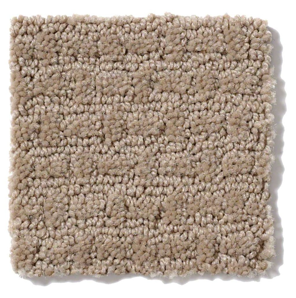 Activate Mushroom Nylon Carpet The Perfect Carpet