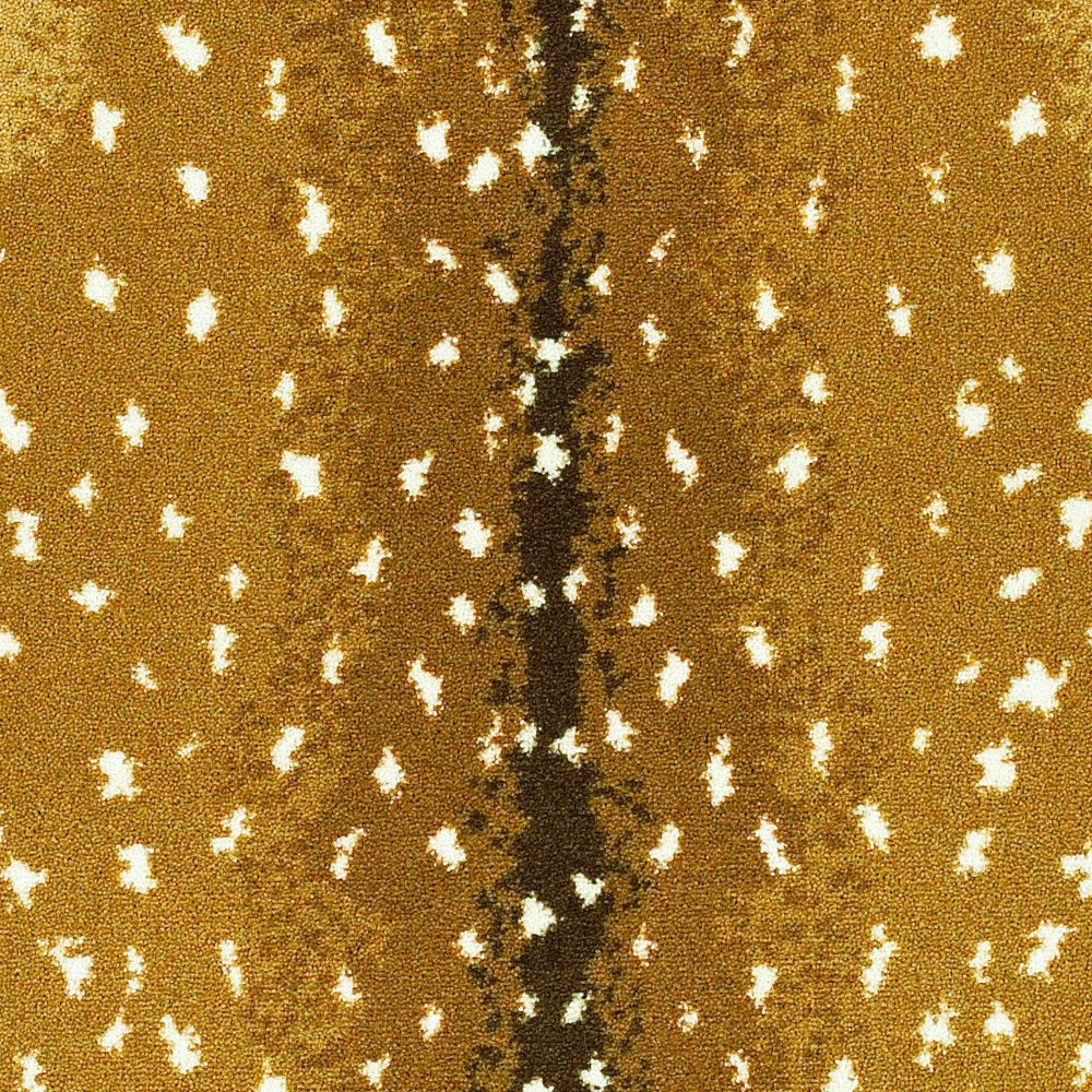 Cape Town Antelope Nylon Carpet The Perfect Carpet