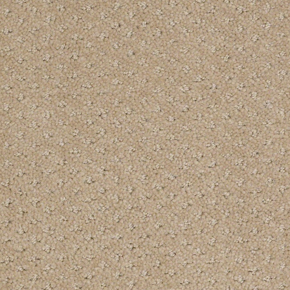 Genesis Mushroom Nylon Carpet | The Perfect Carpet
