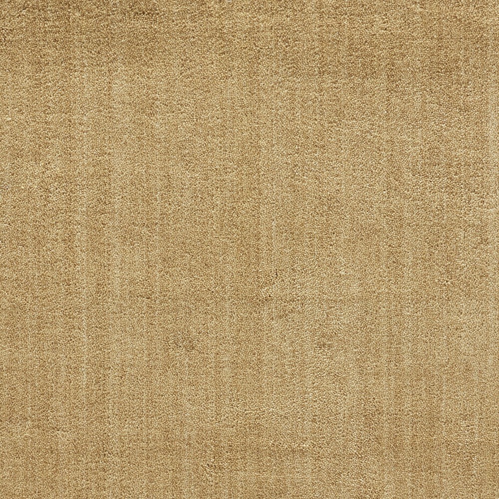 Grand Velvet Beige Wool Carpet The Perfect Carpet