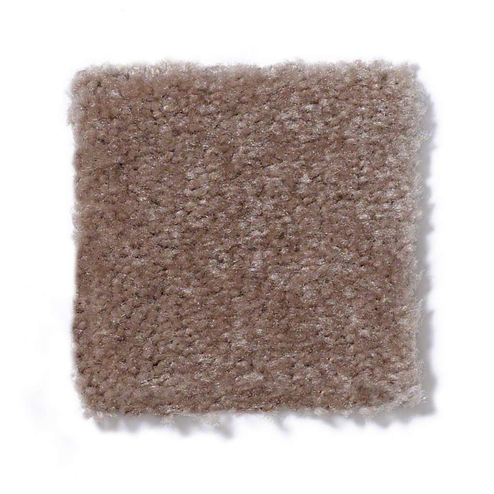 Hawkeye II Warm Mink Nylon Carpet The Perfect Carpet