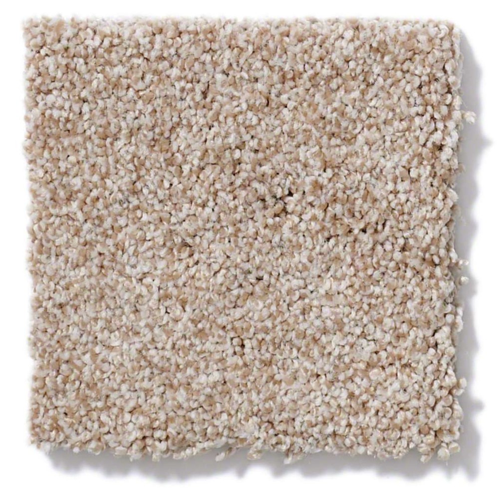 Hudson Falls Suitable Nylon Carpet The Perfect Carpet