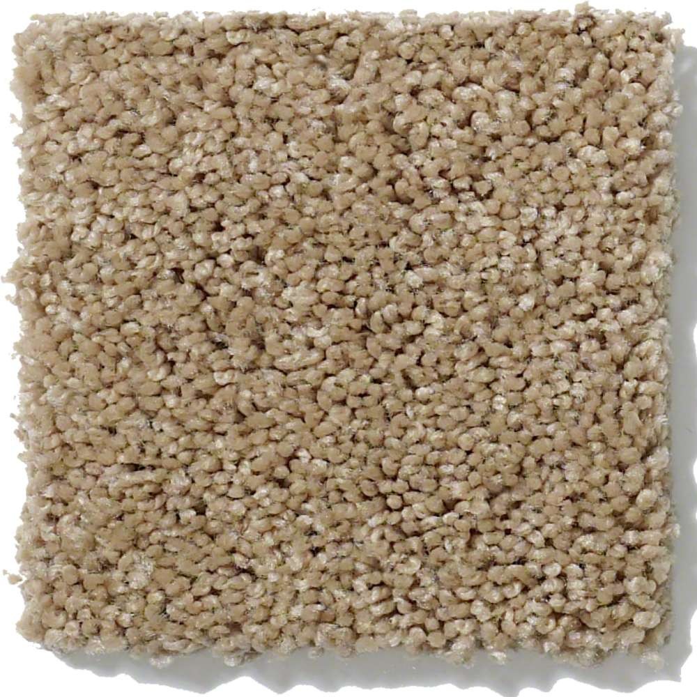 Origins Mushroom Nylon Carpet The Perfect Carpet