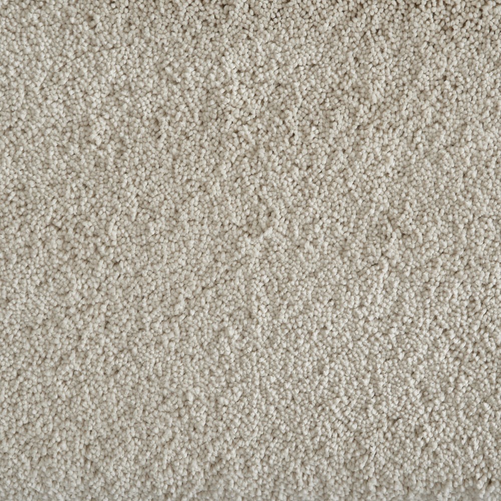Shaggy Grove Buff Synthetic Carpet The Perfect Carpet