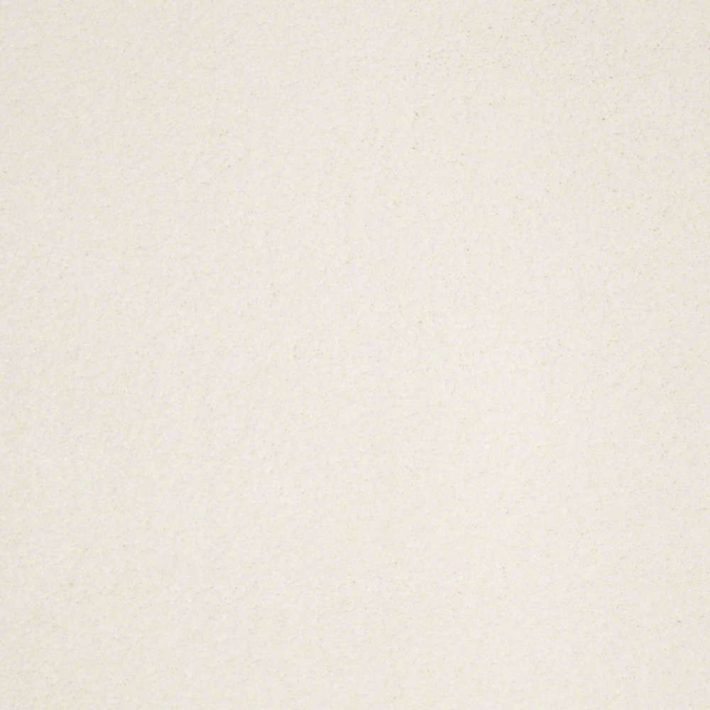 True Inspiration Sea Salt Nylon Carpet The Perfect Carpet