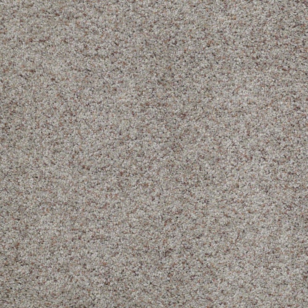 Whats Up Birch Bark Nylon Carpet The Perfect Carpet